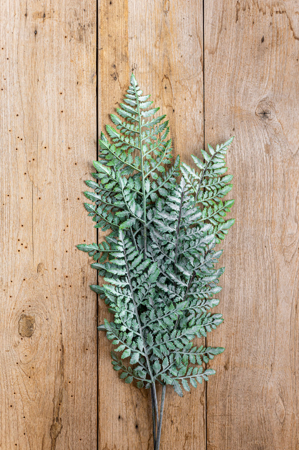 36 Inch Real Touch Royal Fern Stem