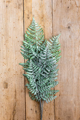 36 Inch Real Touch Royal Fern Stem