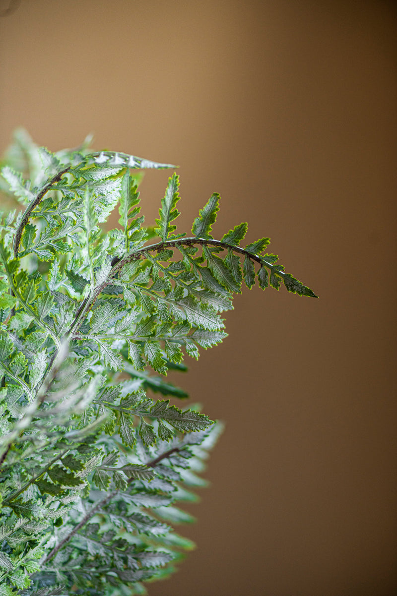 36 Inch Real Touch Royal Fern Stem