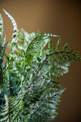 36 Inch Real Touch Royal Fern Stem
