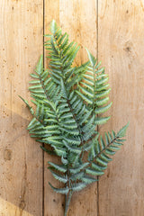 36 Inch Real Touch Ostrich Fern Stem
