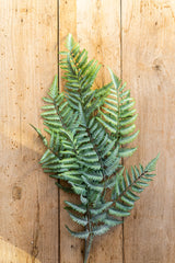 36 Inch Real Touch Ostrich Fern Stem