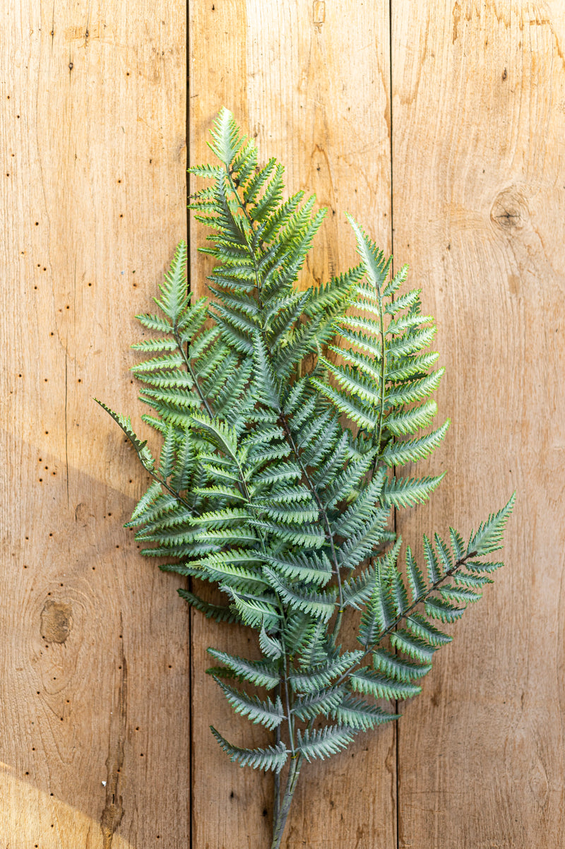 36 Inch Real Touch Ostrich Fern Stem