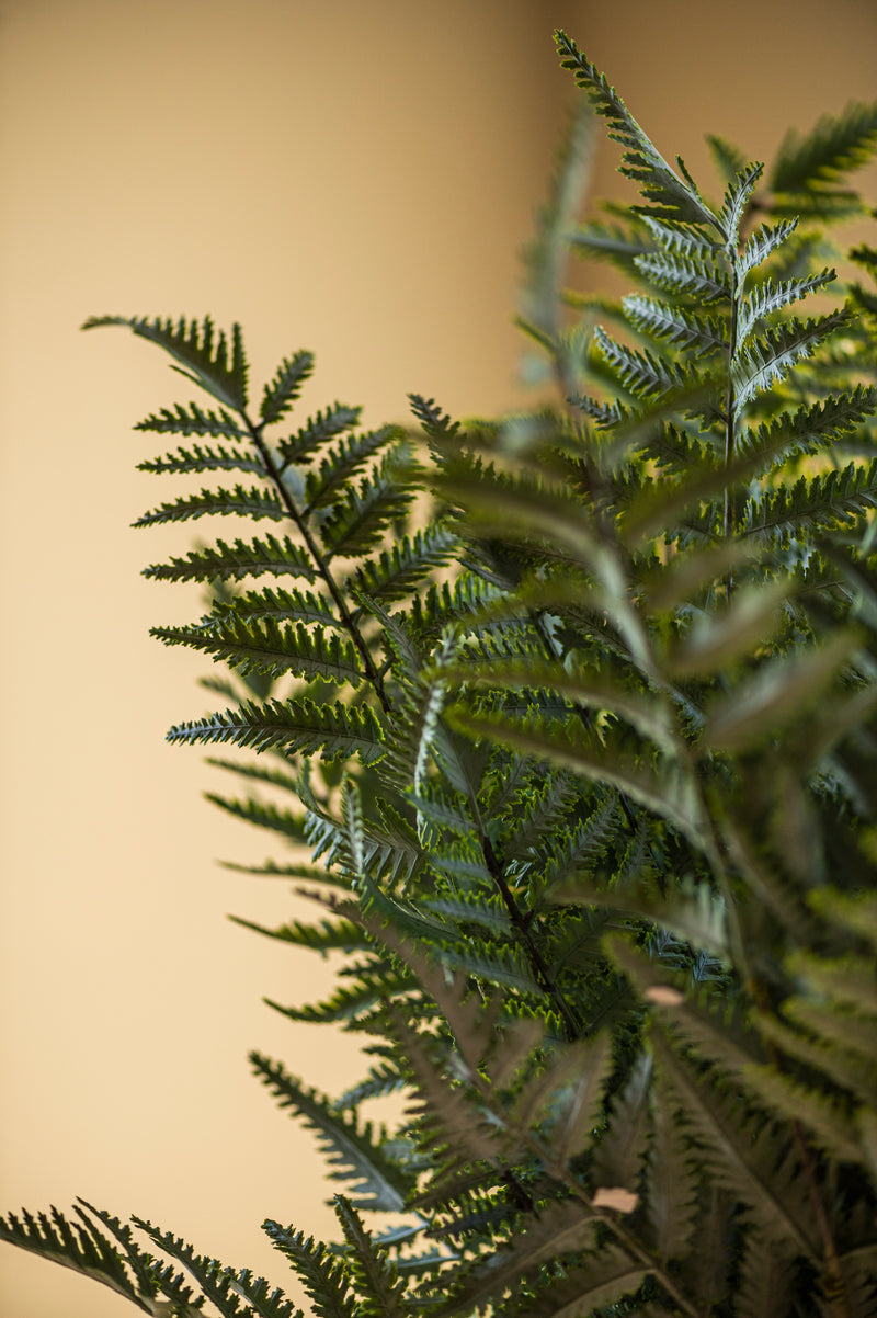 36 Inch Real Touch Ostrich Fern Stem