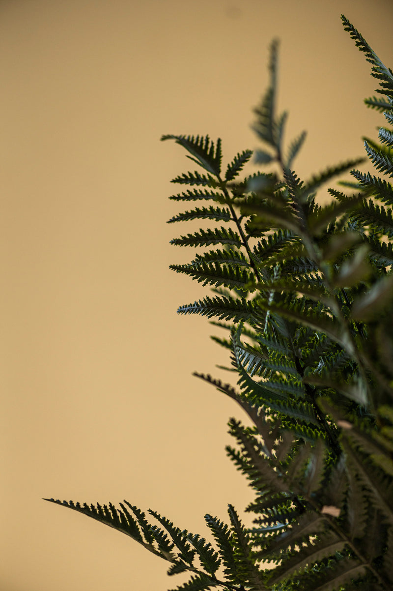 36 Inch Real Touch Ostrich Fern Stem