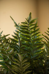 36 Inch Real Touch Ostrich Fern Stem