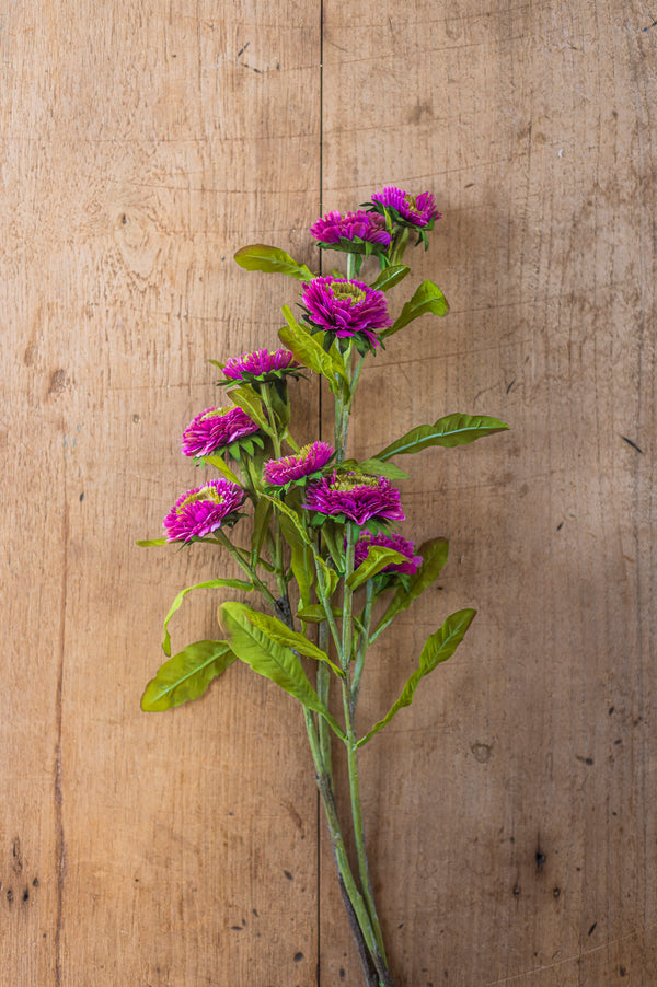 24" Triple Head Purple Zinnia Stem