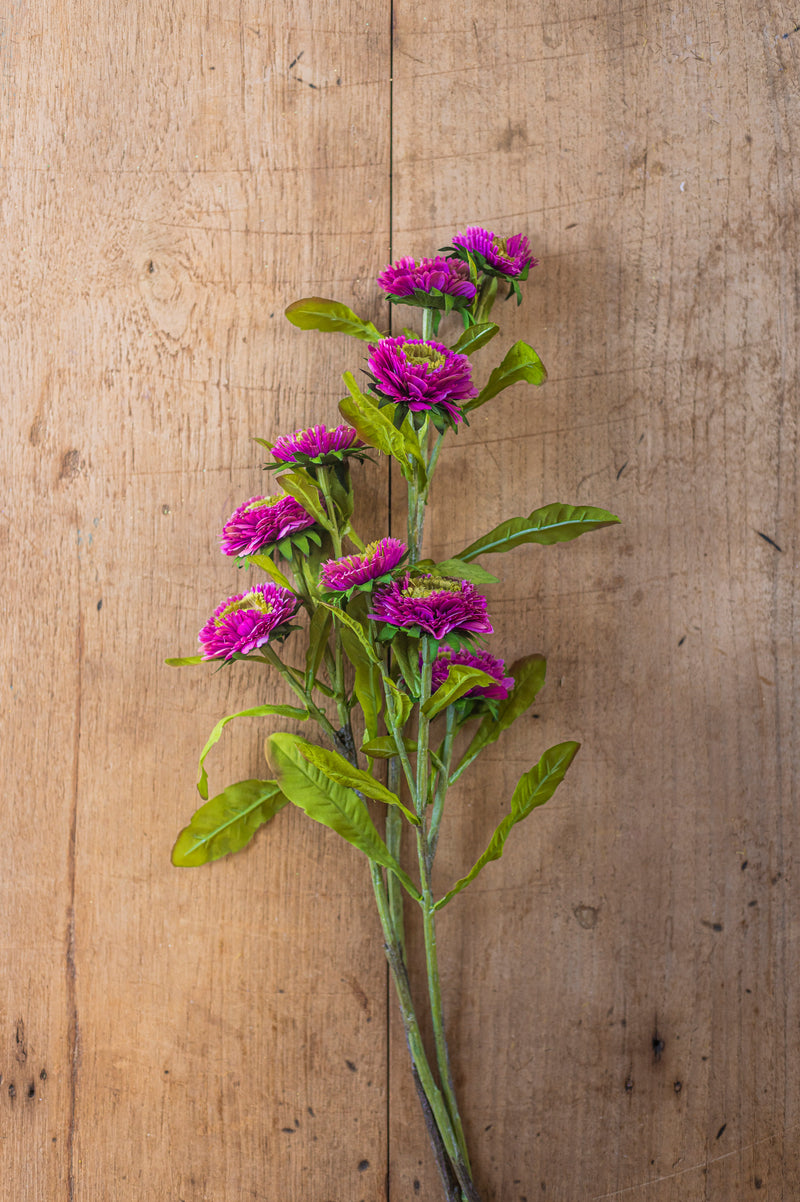 24" Triple Head Purple Zinnia Stem
