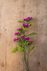 24" Triple Head Purple Zinnia Stem