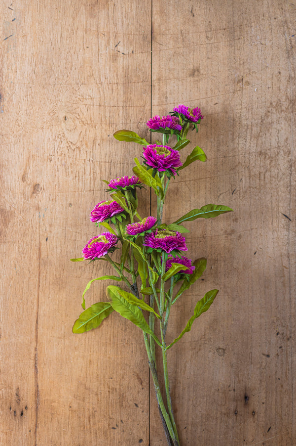 24" Triple Head Purple Zinnia Stem