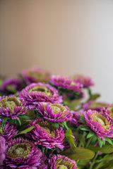 24" Triple Head Purple Zinnia Stem