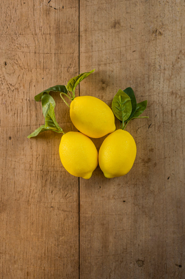 4.5" Lemon w/Foliage