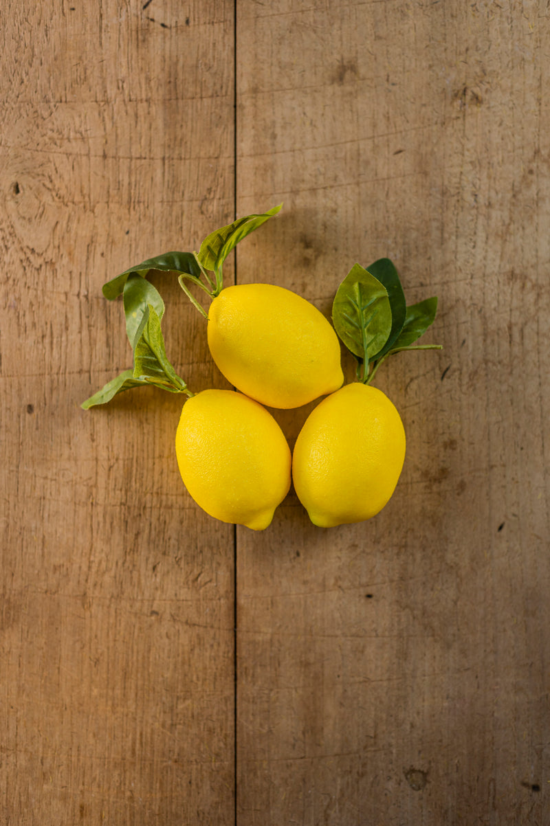 4.5" Lemon w/Foliage