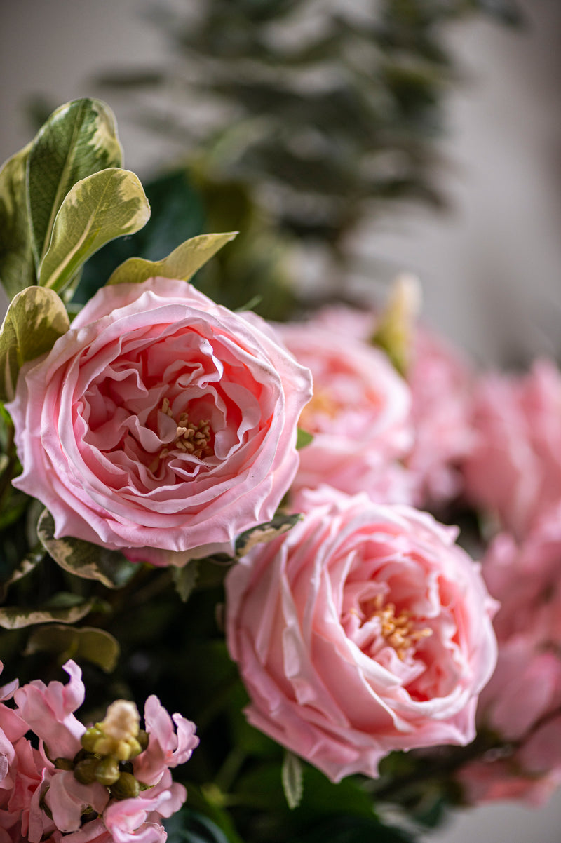 24" Peach Real Touch Austin Rose Stem