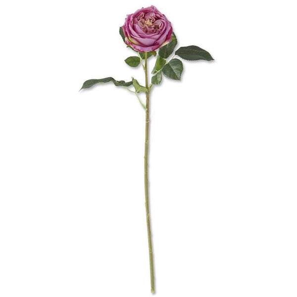 24 Inch Dark Purple Real Touch Austin Rose Stem