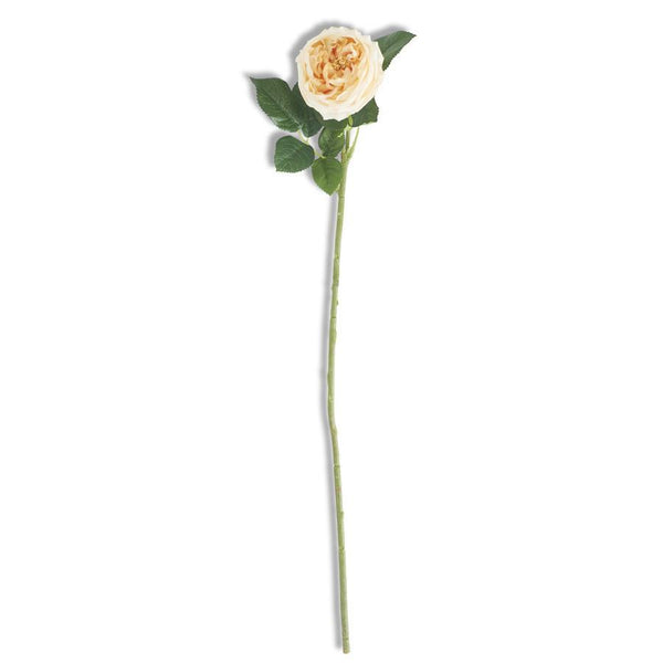 24" Yellow Real Touch Austin Rose Stem