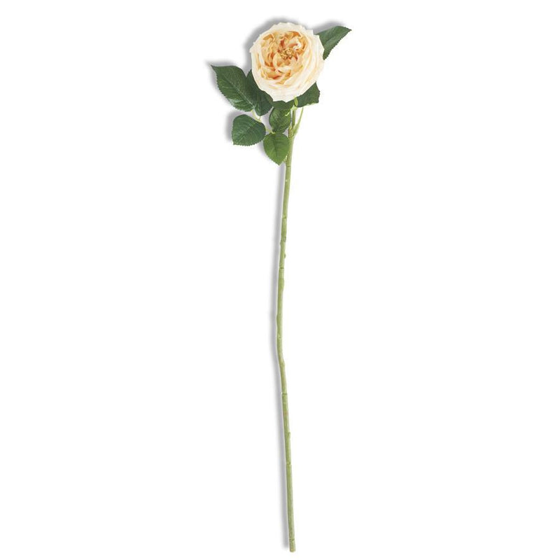 24" Yellow Real Touch Austin Rose Stem