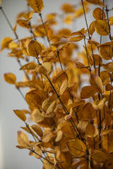 34 Inch 2 Tone Dark Yellow Eucalyptus Stem