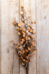 34 Inch 2 Tone Dark Yellow Eucalyptus Stem