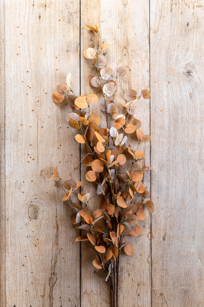 34 Inch 2 Tone Dark Yellow Eucalyptus Stem