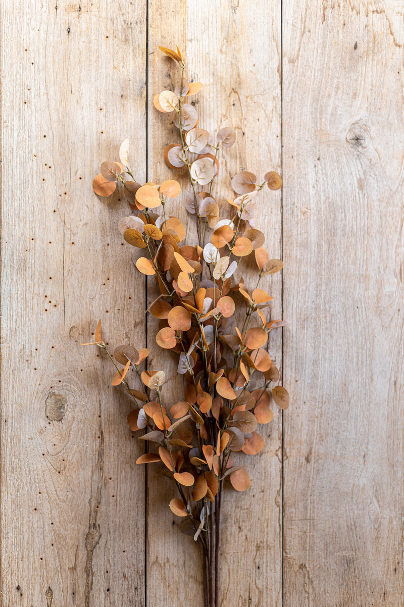 34 Inch 2 Tone Dark Yellow Eucalyptus Stem