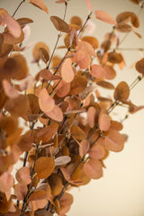 34 Inch 2 Tone Dark Yellow Eucalyptus Stem