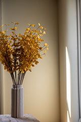 34 Inch Yellow Eucalyptus Stem