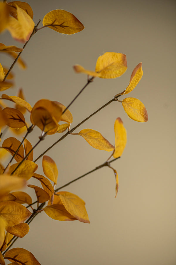 34 Inch Yellow Eucalyptus Stem