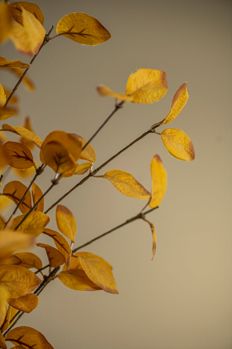 34 Inch Yellow Eucalyptus Stem