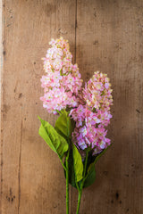 38.5" Pink Cone Hydrangea Stem