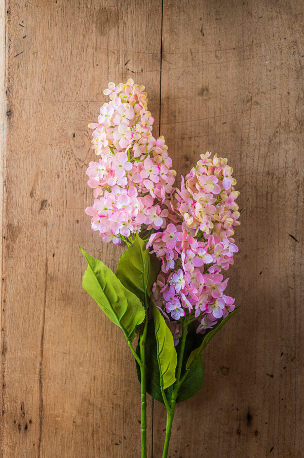 38.5" Pink Cone Hydrangea Stem