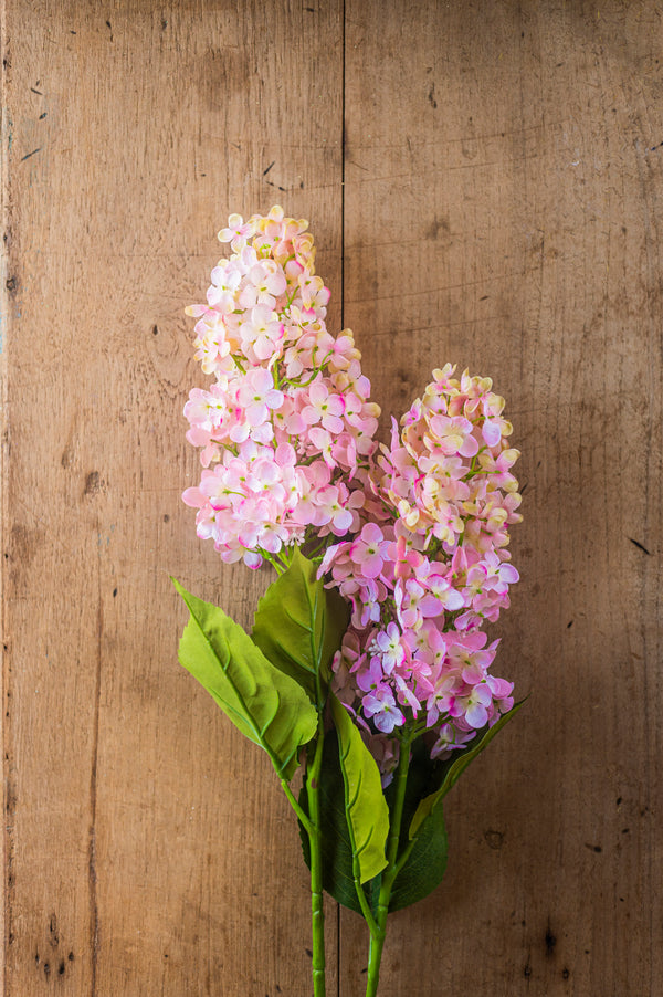 38.5" Pink Cone Hydrangea Stem