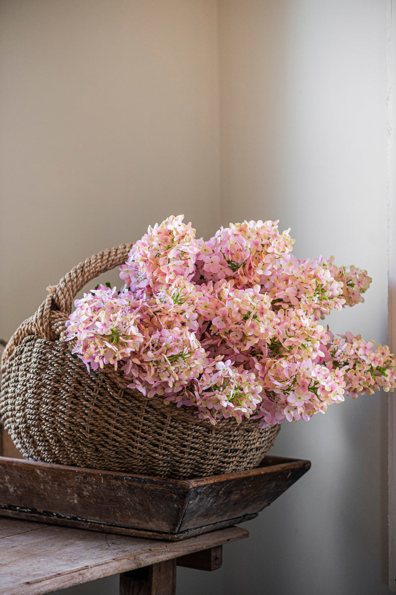 38.5" Pink Cone Hydrangea Stem