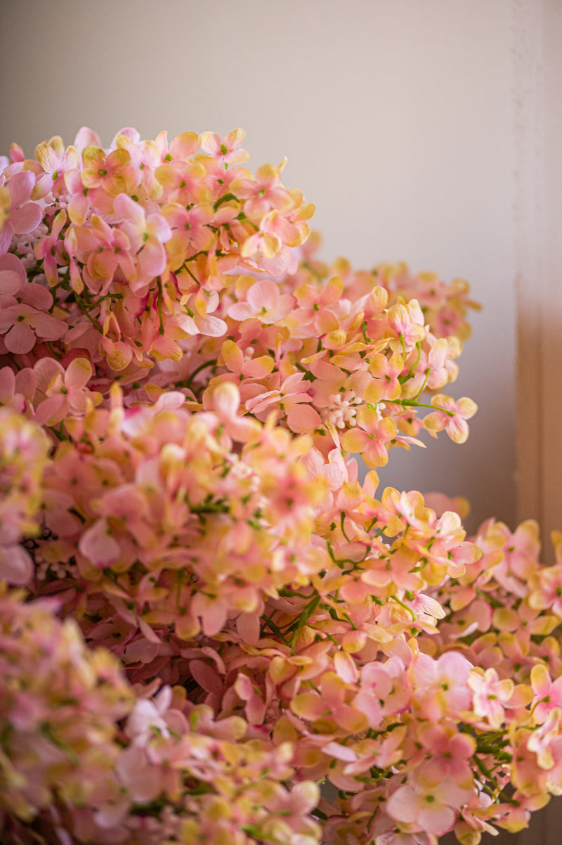 38.5" Pink Cone Hydrangea Stem