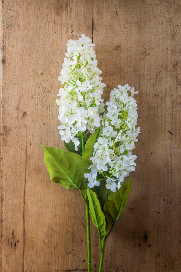 38.5" White Cone Hydrangea Stem
