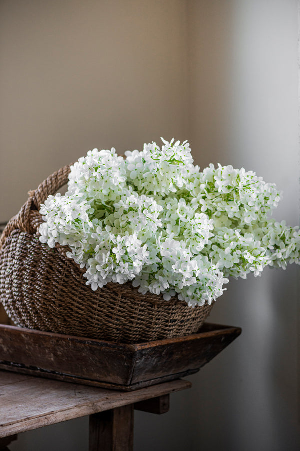 38.5" White Cone Hydrangea Stem