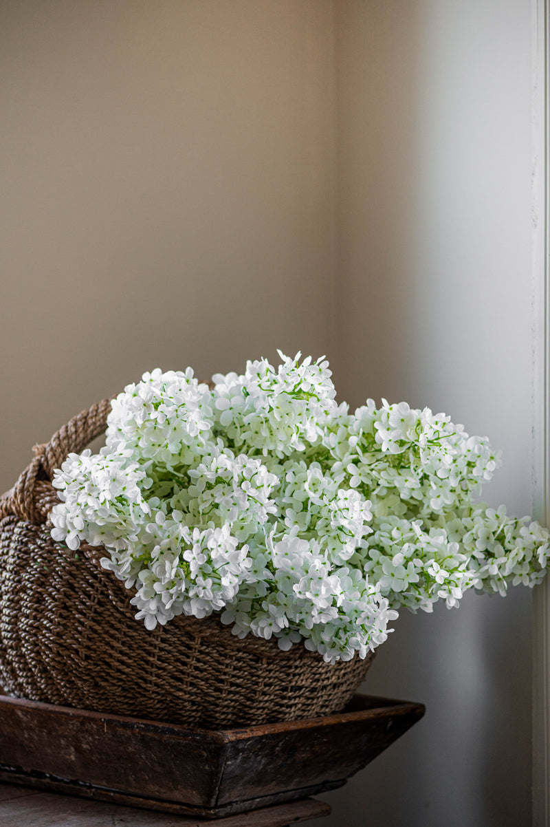 38.5" White Cone Hydrangea Stem