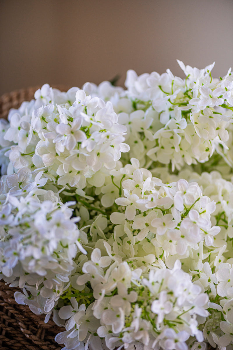 38.5" White Cone Hydrangea Stem