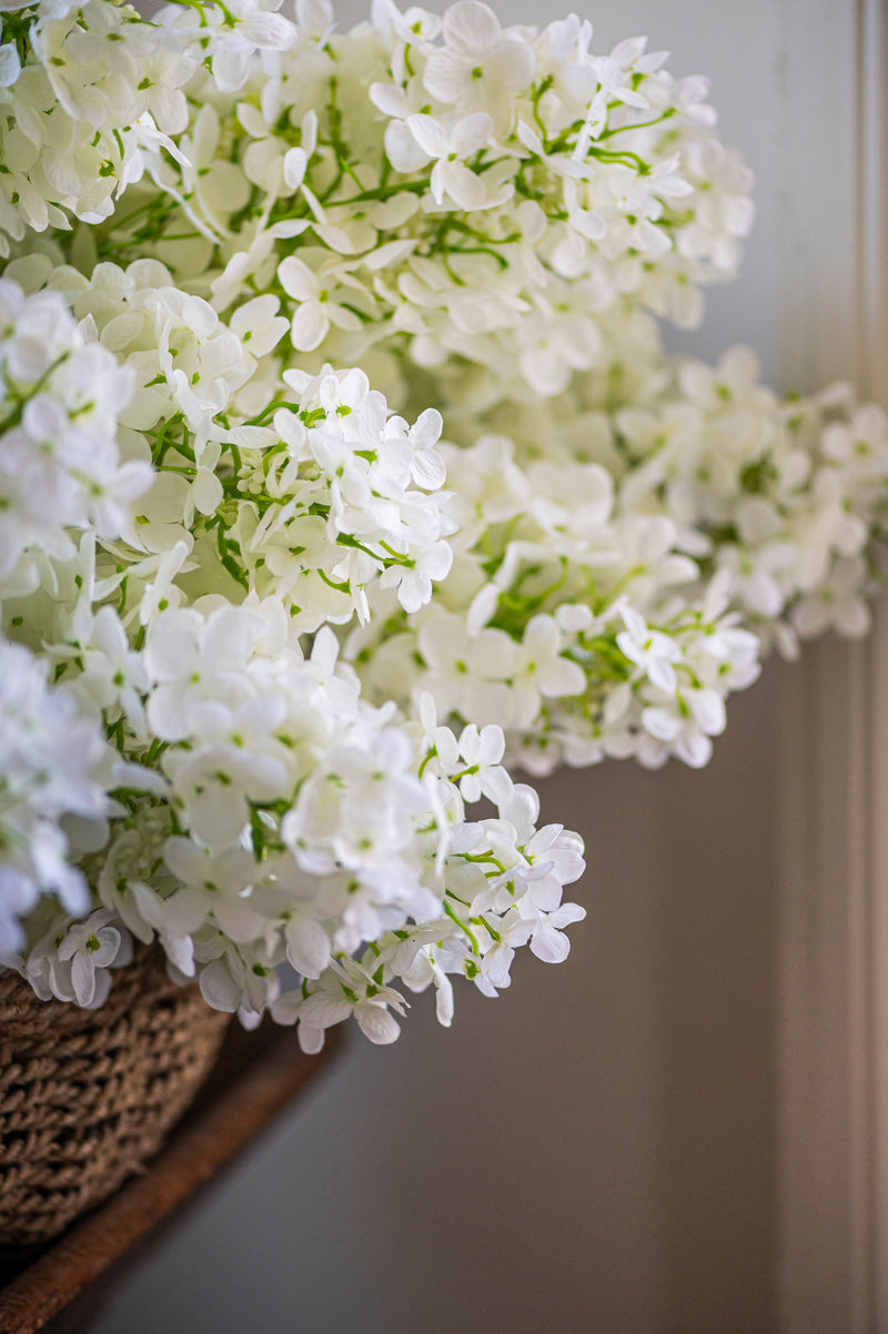 38.5" White Cone Hydrangea Stem