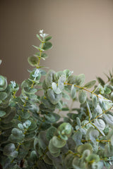 38" Light Green Gunnii Eucalyptus Stem