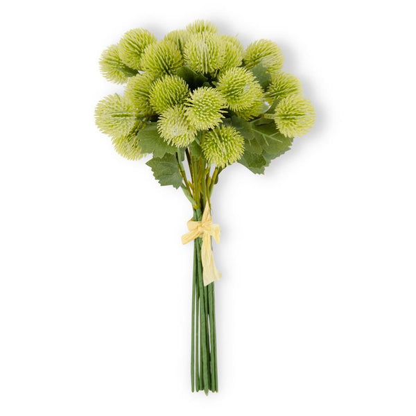 13" Light Green Sycamore Fruit Ball Bundle (6 Stems)