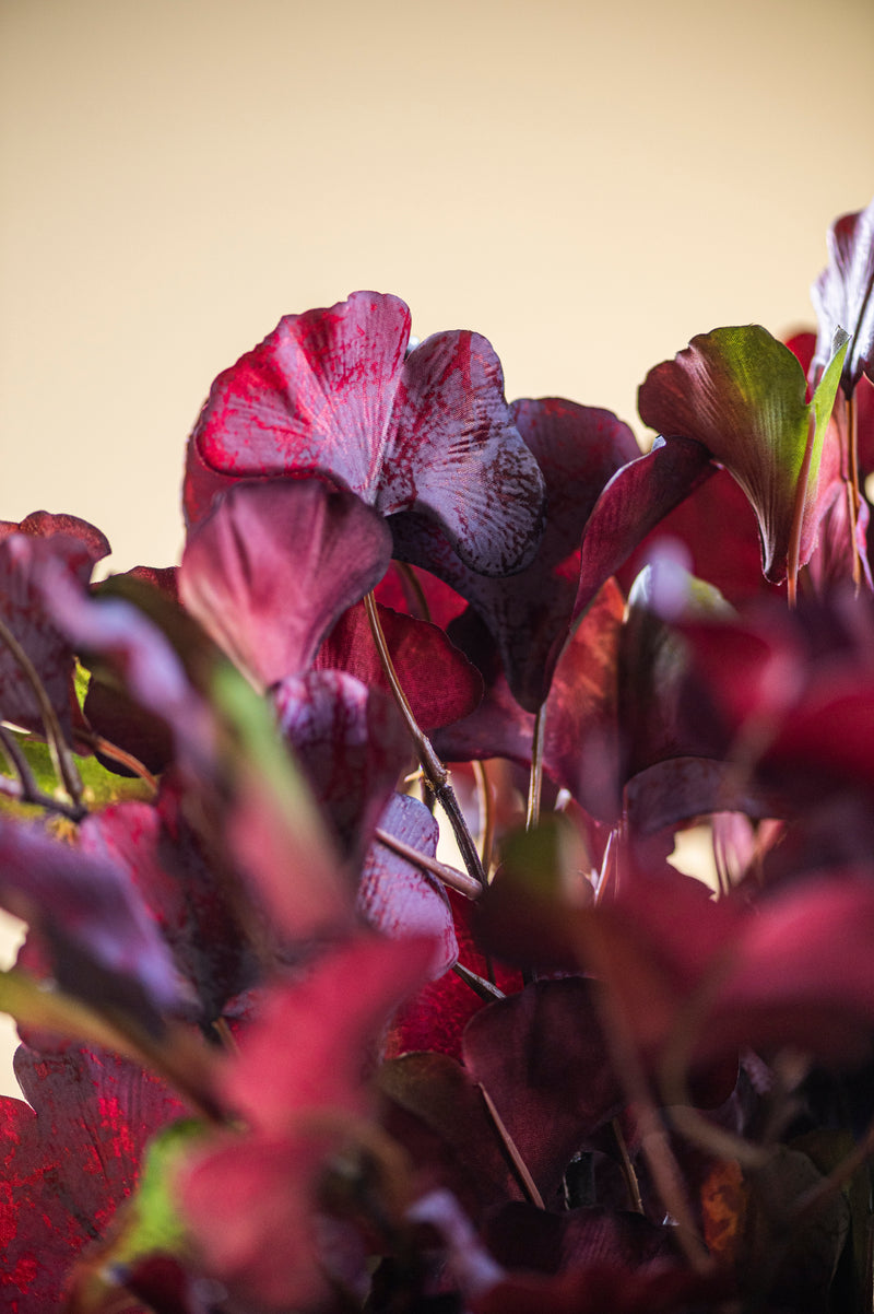 30 Inch Burgundy Two-Tone Gingko Stem