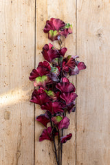 30 Inch Burgundy Two-Tone Gingko Stem