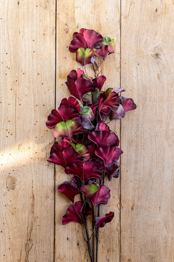 30 Inch Burgundy Two-Tone Gingko Stem