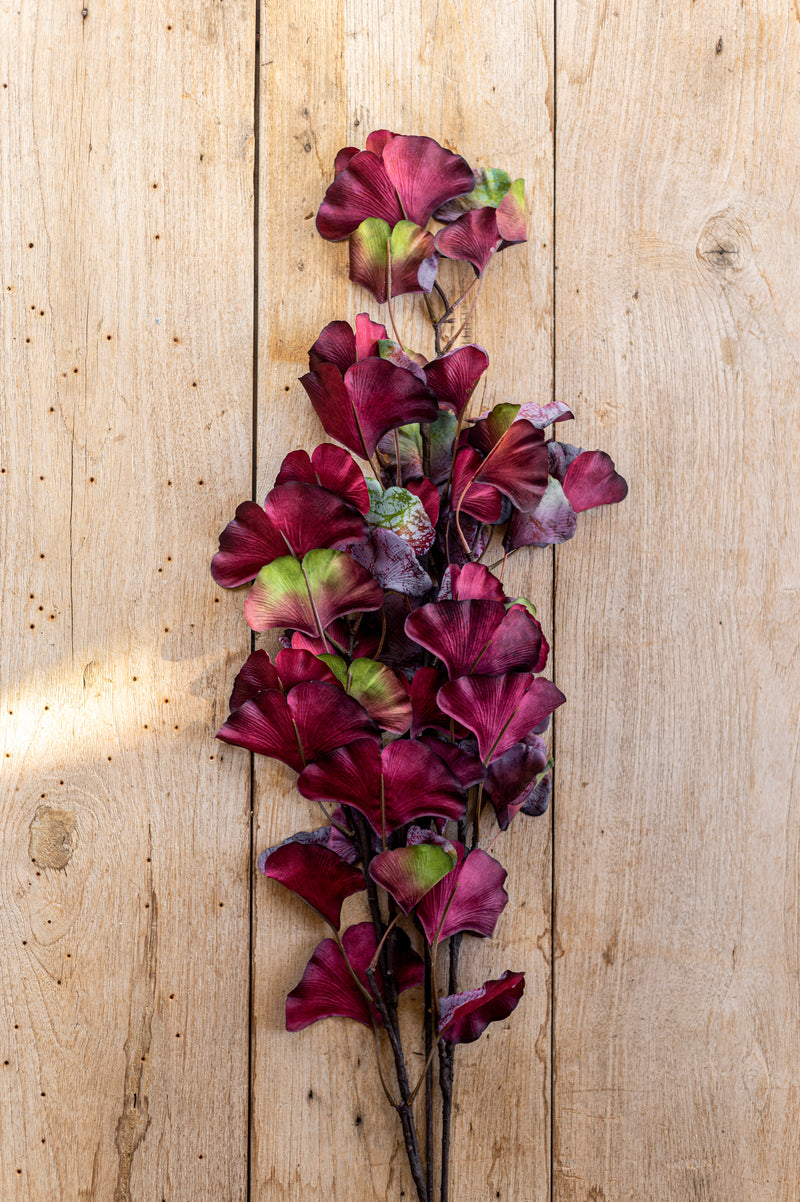 30 Inch Burgundy Two-Tone Gingko Stem
