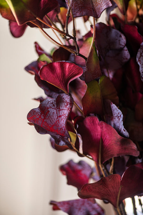 30 Inch Burgundy Two-Tone Gingko Stem