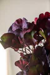 30 Inch Burgundy Two-Tone Gingko Stem