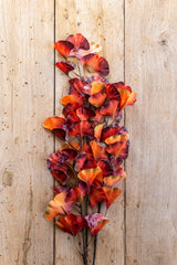 30 Inch Orange Two-Tone Gingko Stem
