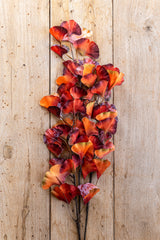 30 Inch Orange Two-Tone Gingko Stem