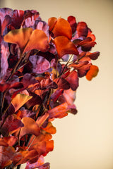 30 Inch Orange Two-Tone Gingko Stem